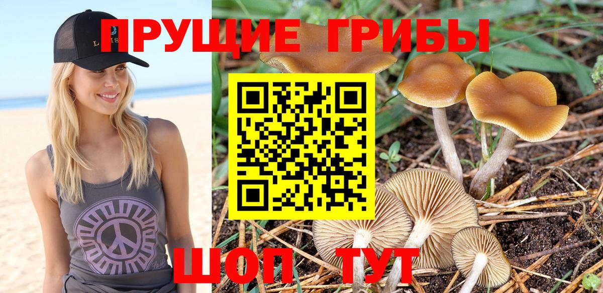 Галлюциногенные грибы GOLDEN TEACHER  Вход с VPN  Псилоцибиновые грибы Magic Shrooms  Дзержинск 