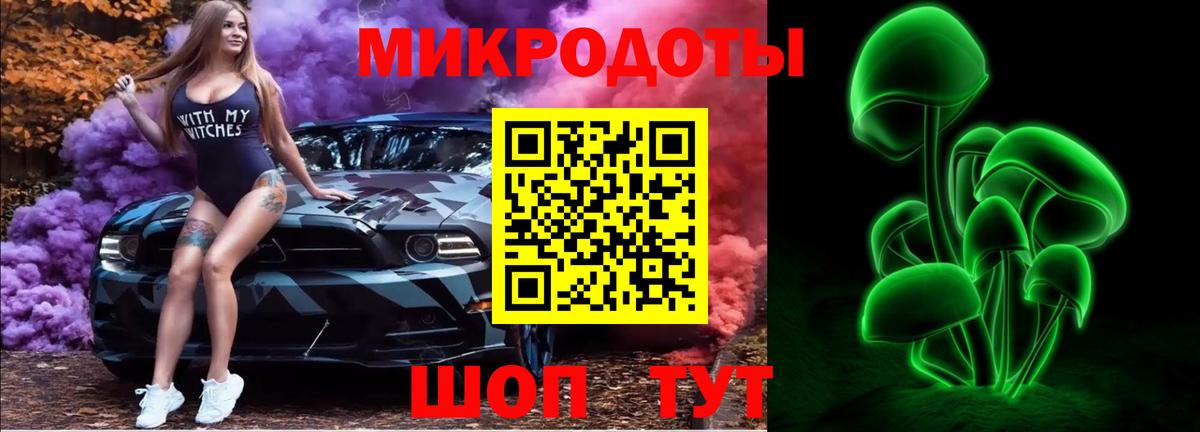 Псилоцибиновые грибы Psilocybine cubensis Дзержинск